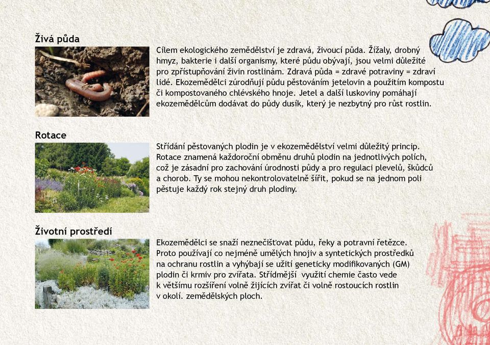 Jetel a další luskoviny pomáhají ekozemědělcům dodávat do půdy dusík, který je nezbytný pro růst rostlin. Rotace Střídání pěstovaných plodin je v ekozemědělství velmi důležitý princip.