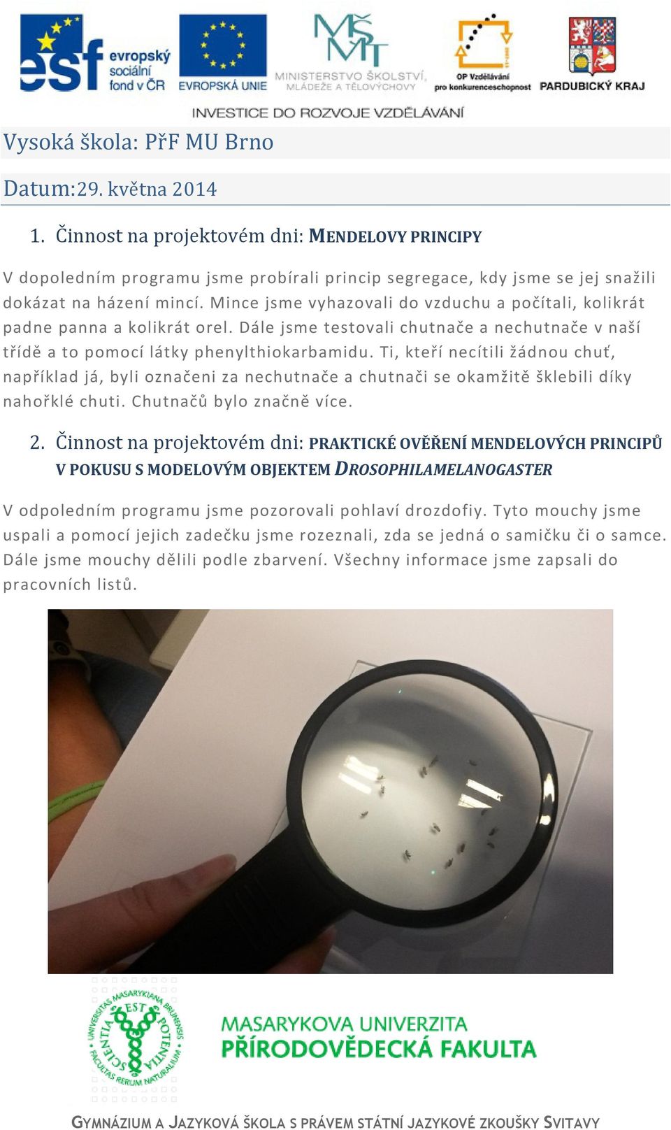 Mince jsme vyhazovali do vzduchu a počítali, kolikrát padne panna a kolikrát orel. Dále jsme testovali chutnače a nechutnače v naší třídě a to pomocí látky phenylthiokarbamidu.