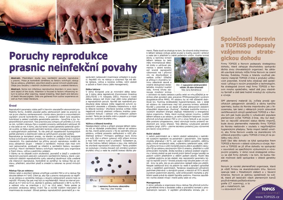 Údaje jsou čerpány z vlastních zkušeností autora a z uvedené literatury. Abstract. Some non infectious reproductive disorders in sows represent object of the study.