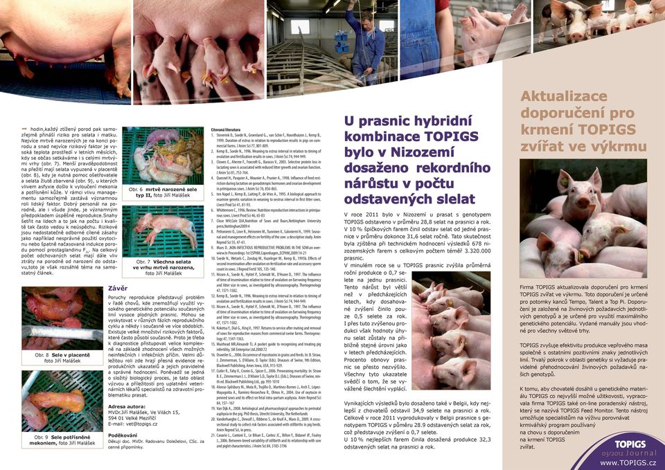 Menší pravděpodobnost na přežití mají selata vypuzená v placentě (obr. 8), kdy je nutná pomoc ošetřovatele a selata žlutě zbarvená (obr.
