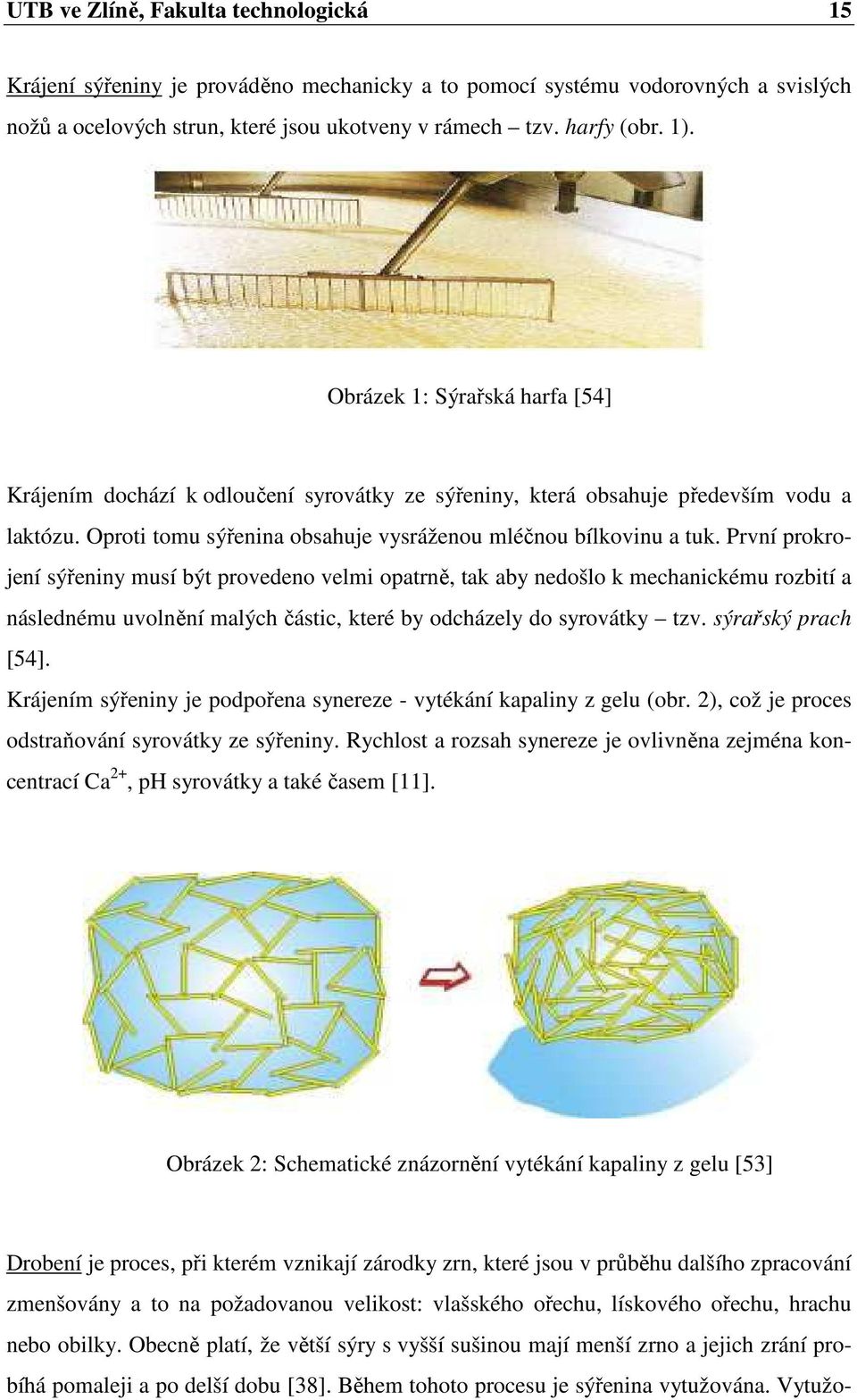 První prokrojení sýřeniny musí být provedeno velmi opatrně, tak aby nedošlo k mechanickému rozbití a následnému uvolnění malých částic, které by odcházely do syrovátky tzv. sýrařský prach [54].