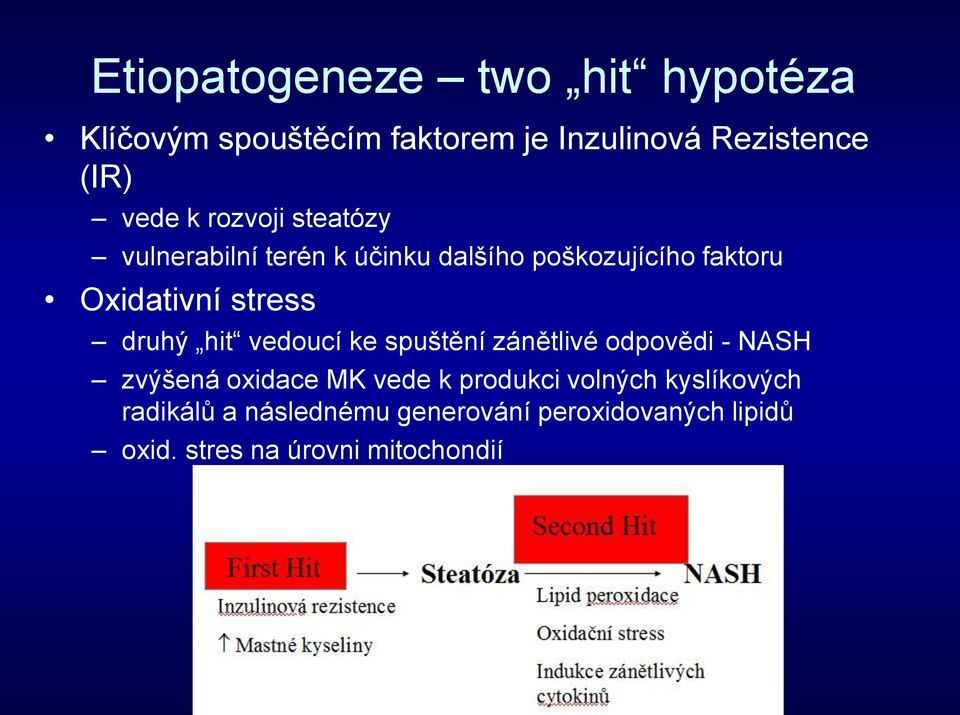 druhý hit vedoucí ke spuštění zánětlivé odpovědi - NASH zvýšená oxidace MK vede k produkci