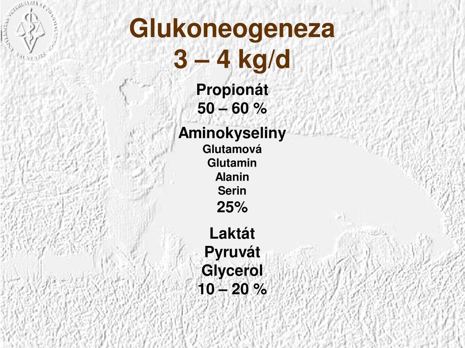 Aminokyseliny Glutamová