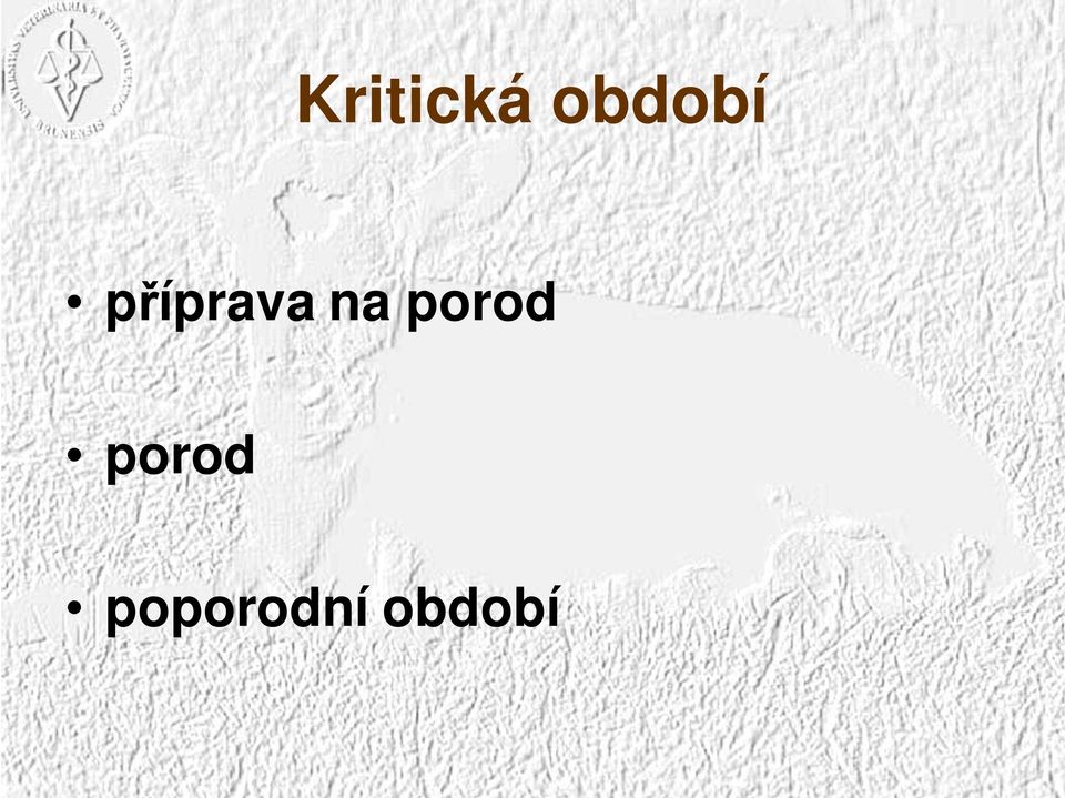 příprava na