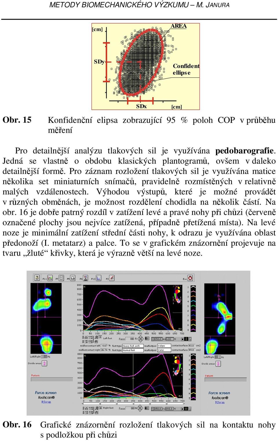 Jedná se vlastně o obdobu klasických plantogramů, ovšem v daleko detailnější formě.