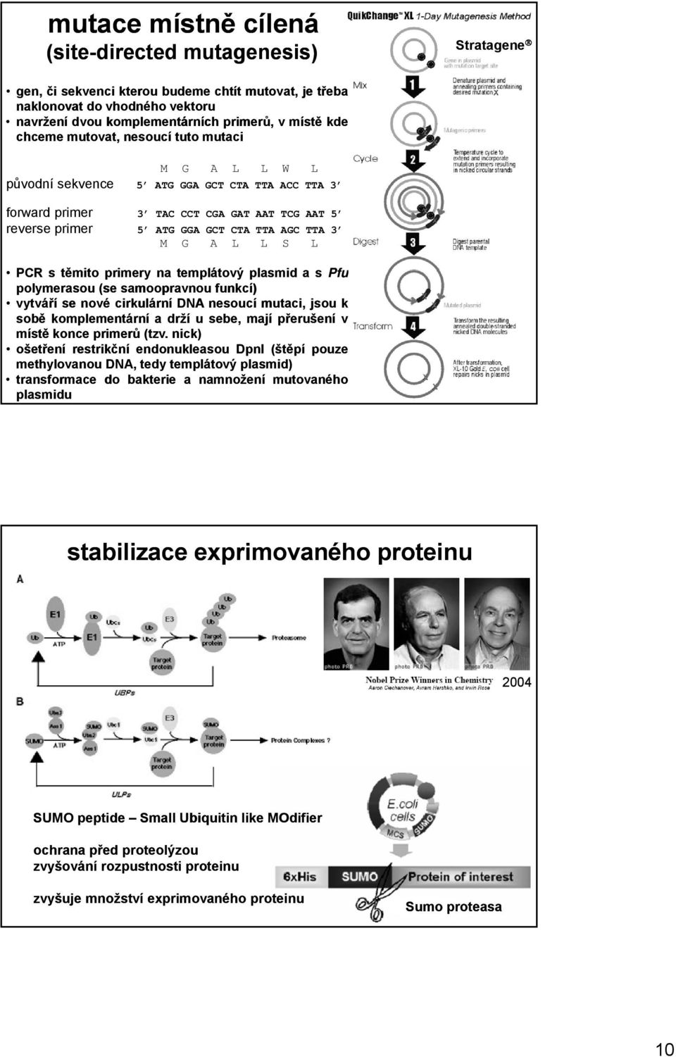 L L S L PCR s těmito primery na templátový plasmid as Pfu polymerasou (se samoopravnou funkcí) vytváří se nové cirkulární DNA nesoucí mutaci, jsou k sobě komplementární adrží u sebe, mají přerušení v