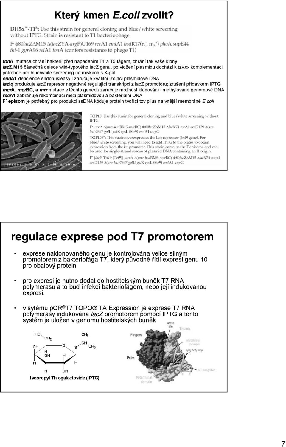 transkripci z lacz promotoru; zrušení přídavkem IPTG mcra, mcrbc, a mrr mutace v těchto genech zaručuje možnost klonování i methylované genomové DNA reca1 zabraňuje rekombinaci mezi plasmidovou a