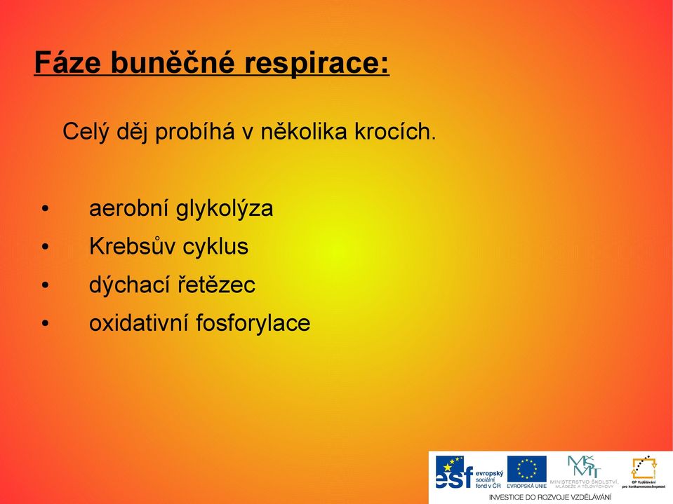 aerobní glykolýza Krebsův cyklus