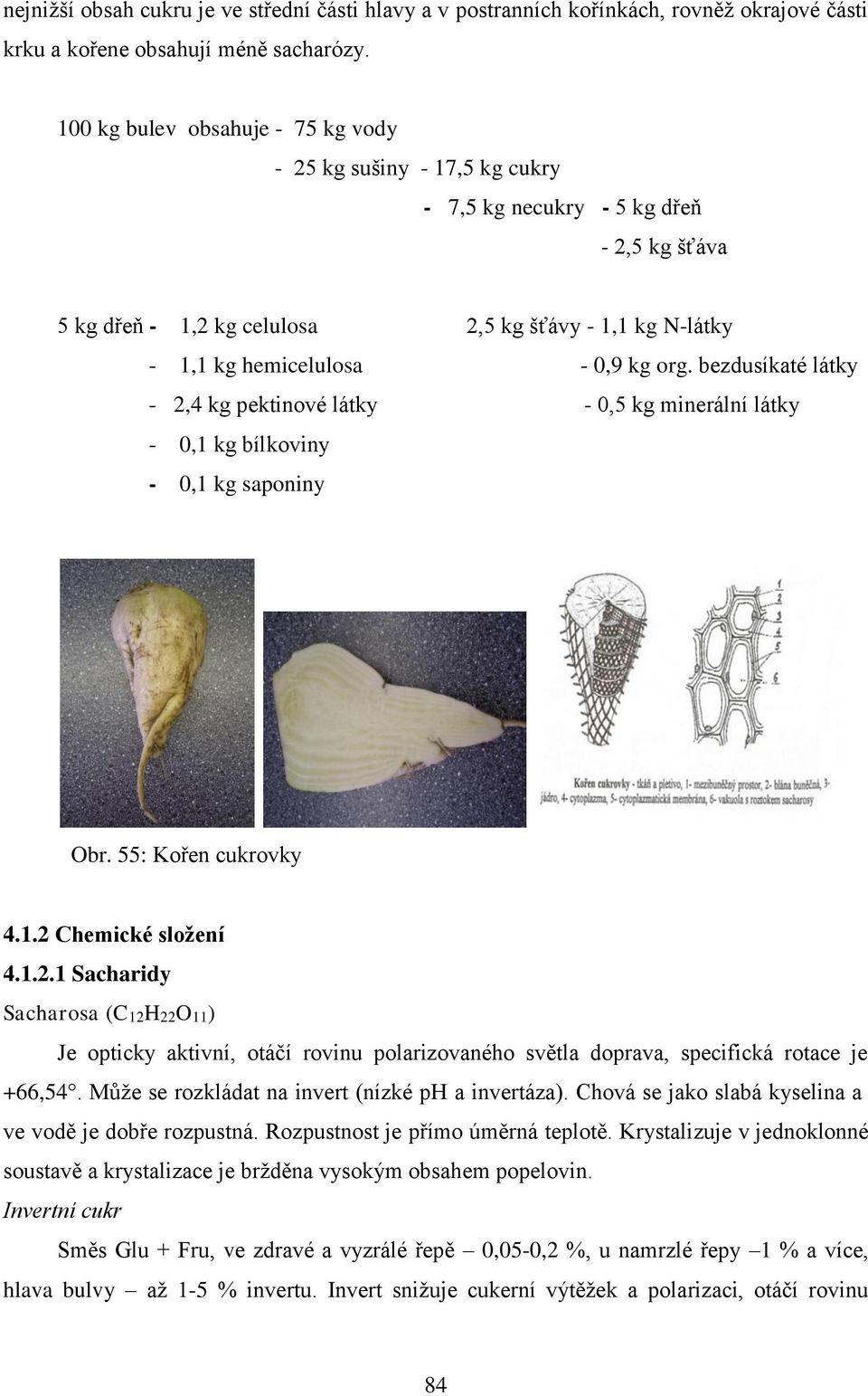 org. bezdusíkaté látky - 2,4 kg pektinové látky - 0,5 kg minerální látky - 0,1 kg bílkoviny - 0,1 kg saponiny Obr. 55: Kořen cukrovky 4.1.2 Chemické složení 4.1.2.1 Sacharidy Sacharosa (C12H22O11) Je opticky aktivní, otáčí rovinu polarizovaného světla doprava, specifická rotace je +66,54.