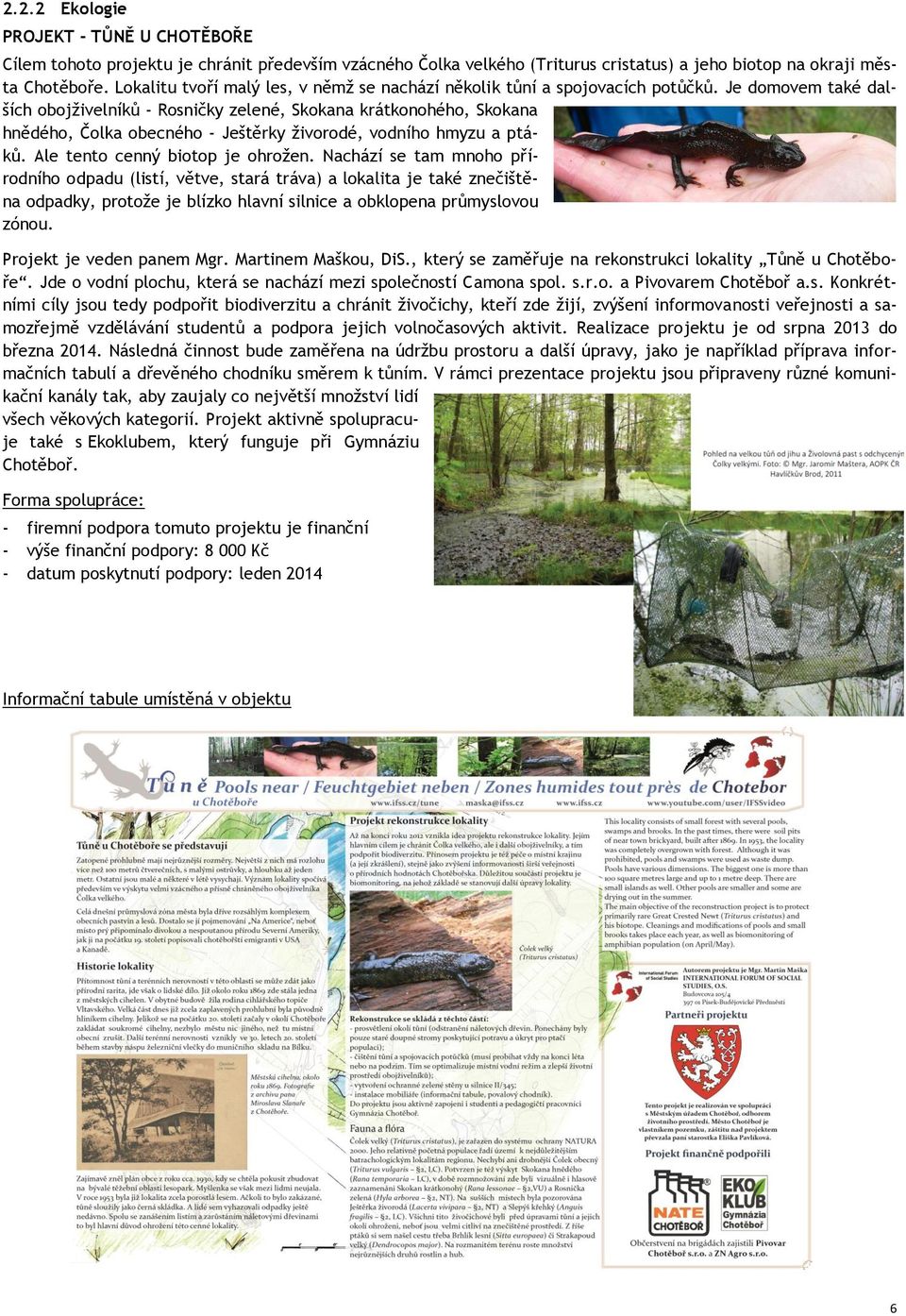 Je domovem také dalších obojživelníků - Rosničky zelené, Skokana krátkonohého, Skokana hnědého, Čolka obecného - Ještěrky živorodé, vodního hmyzu a ptáků. Ale tento cenný biotop je ohrožen.