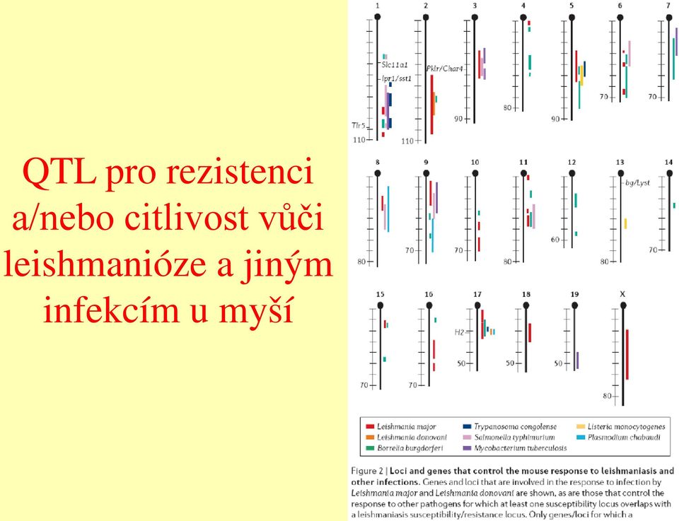 vůči leishmanióze a