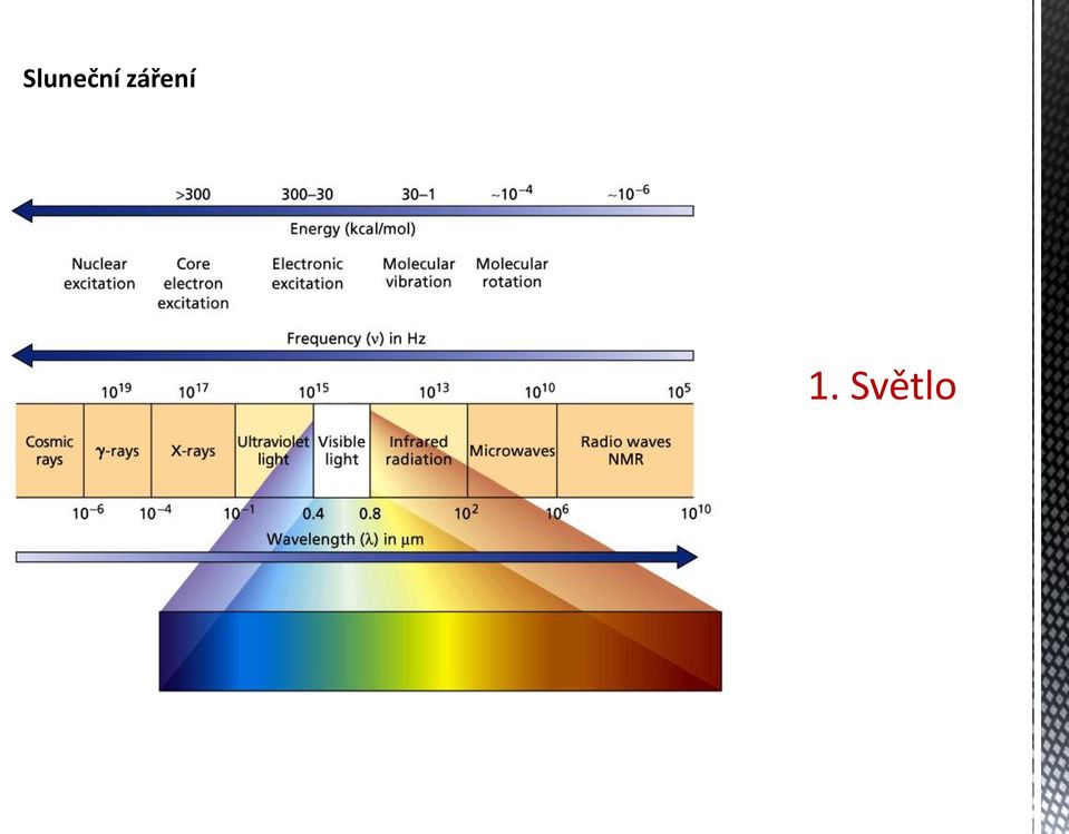 Světlo