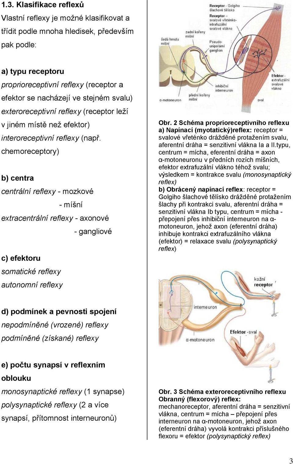 chemoreceptory) b) centra centrální reflexy - mozkové - míšní extracentrální reflexy - axonové - gangliové c) efektoru somatické reflexy autonomní reflexy Obr.