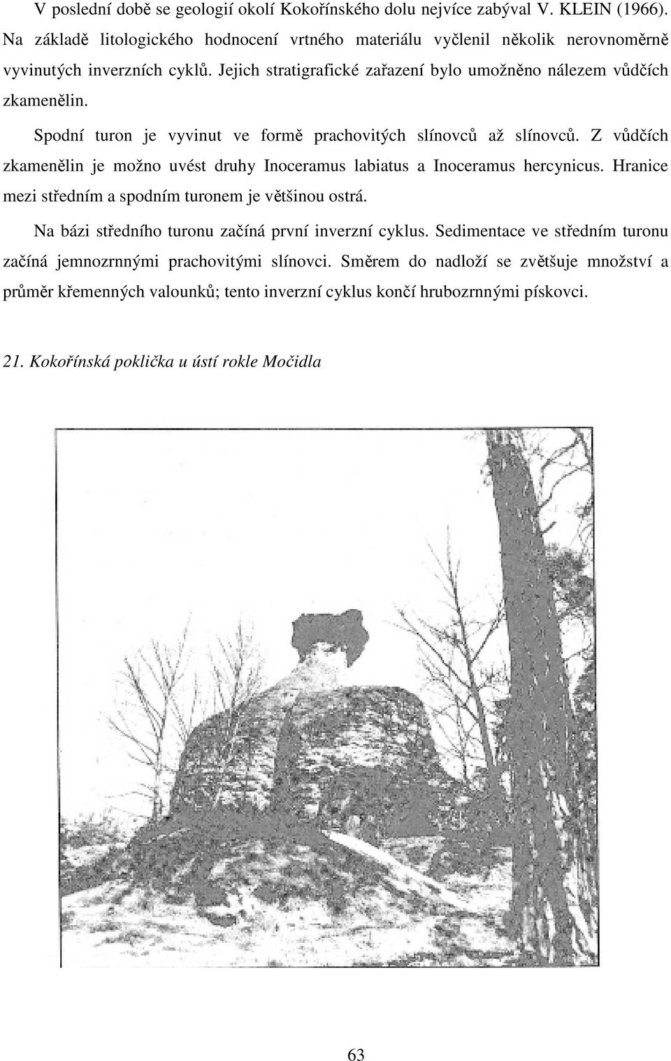 Spodní turon je vyvinut ve formě prachovitých slínovců až slínovců. Z vůdčích zkamenělin je možno uvést druhy Inoceramus labiatus a Inoceramus hercynicus.