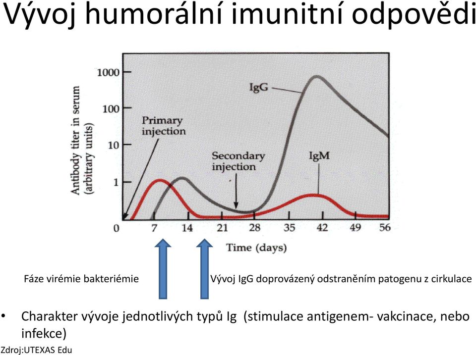 patogenu z cirkulace Charakter vývoje jednotlivých