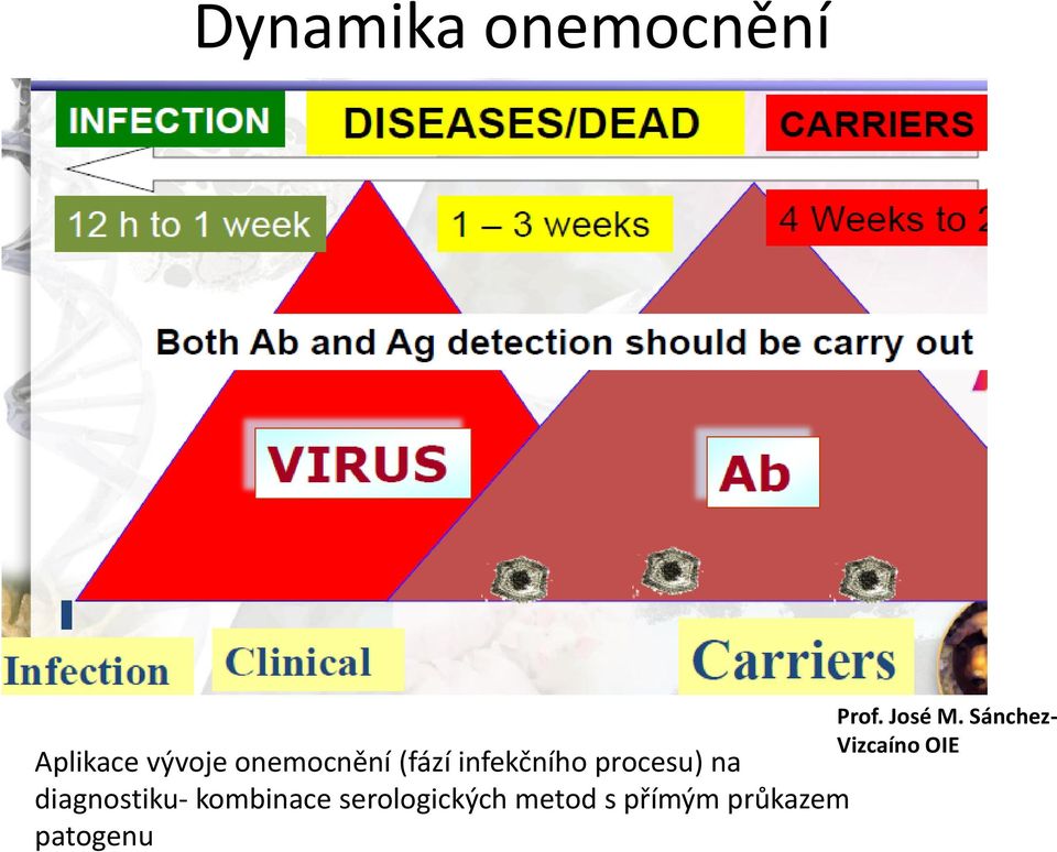 diagnostiku- kombinace serologických metod s