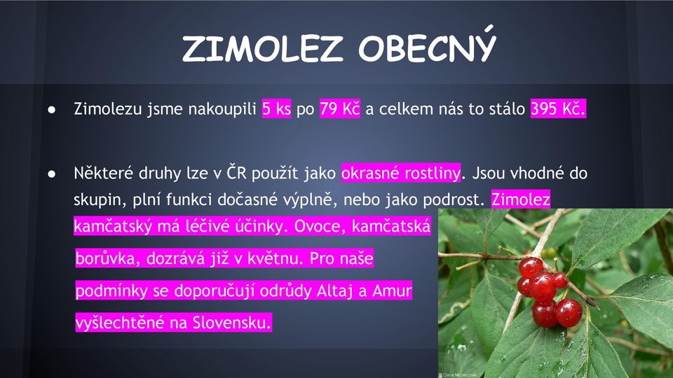 Jsou vhodné do skupin, plní funkci dočasné výplně, nebo jako podrost.