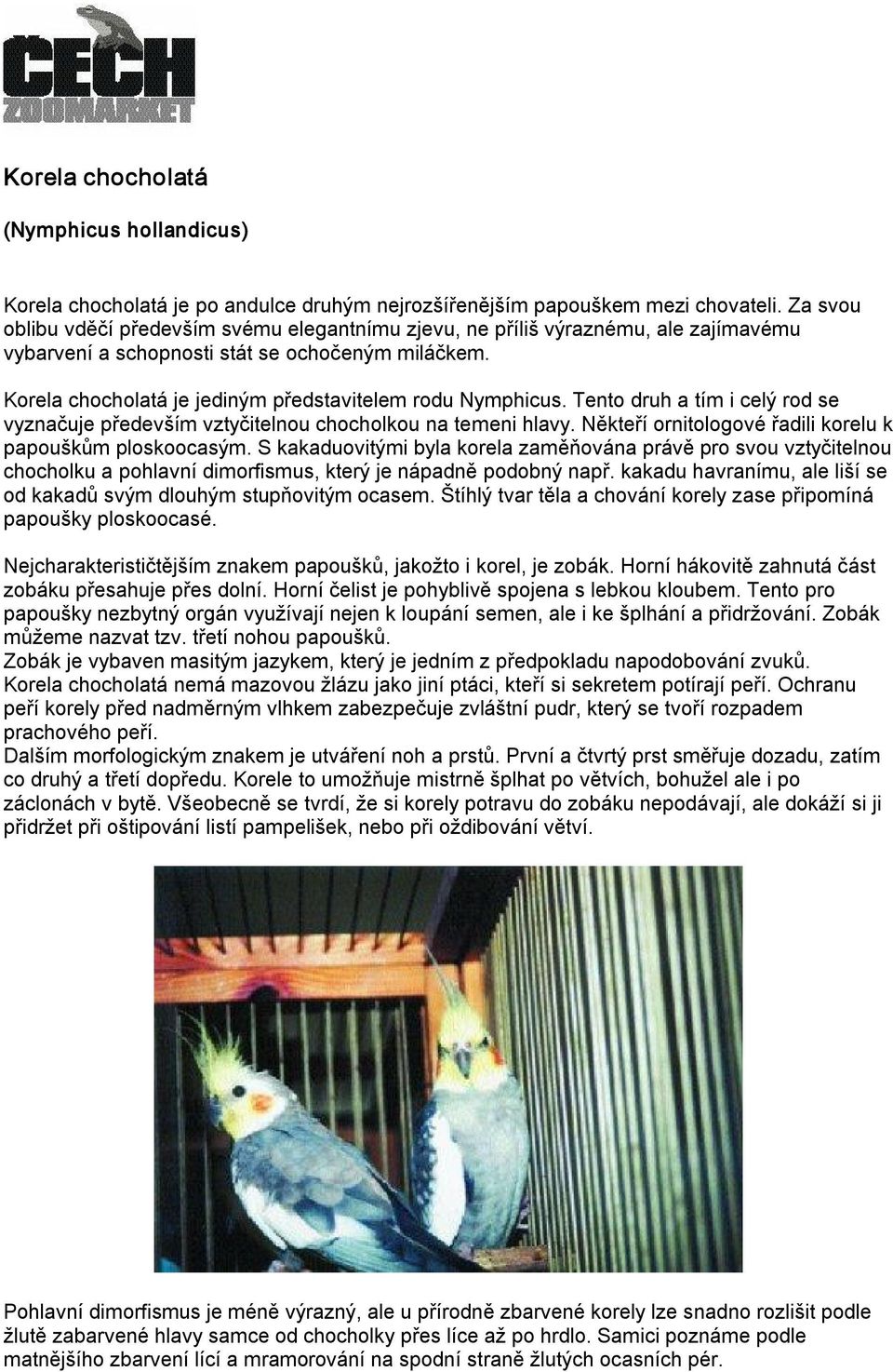 Korela chocholatá je jediným představitelem rodu Nymphicus. Tento druh a tím i celý rod se vyznačuje především vztyčitelnou chocholkou na temeni hlavy.