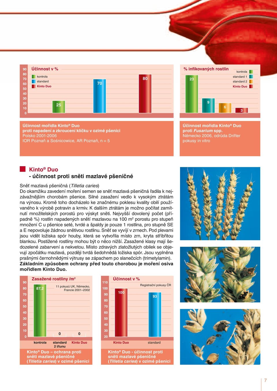 Německo 26, odrůda Drifter pokusy in vitro Kinto Duo - účinnost proti sněti mazlavé pšeničné Sněť mazlavá pšeničná (Tilletia caries) Do okamžiku zavedení moření semen se sněť mazlavá pšeničná řadila