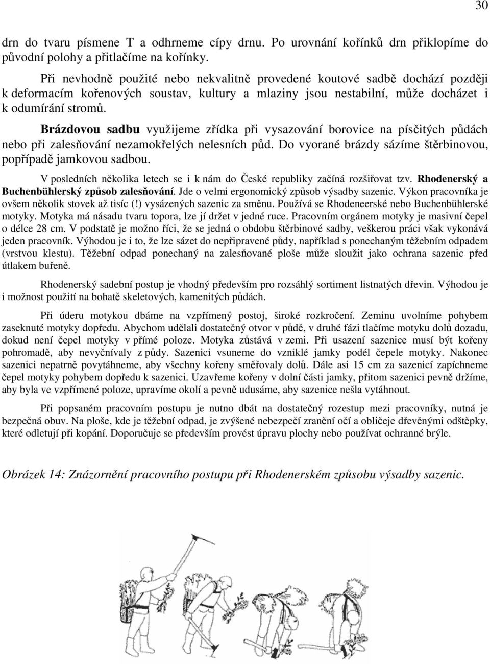 Brázdovou sadbu využijeme zřídka při vysazování borovice na písčitých půdách nebo při zalesňování nezamokřelých nelesních půd. Do vyorané brázdy sázíme štěrbinovou, popřípadě jamkovou sadbou.