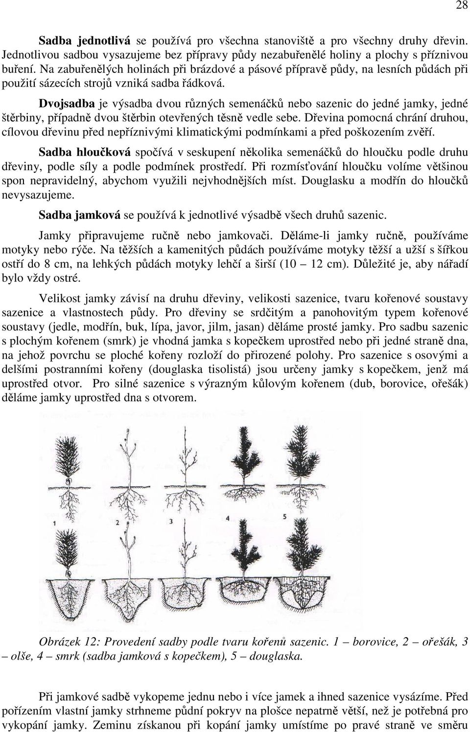Dvojsadba je výsadba dvou různých semenáčků nebo sazenic do jedné jamky, jedné štěrbiny, případně dvou štěrbin otevřených těsně vedle sebe.