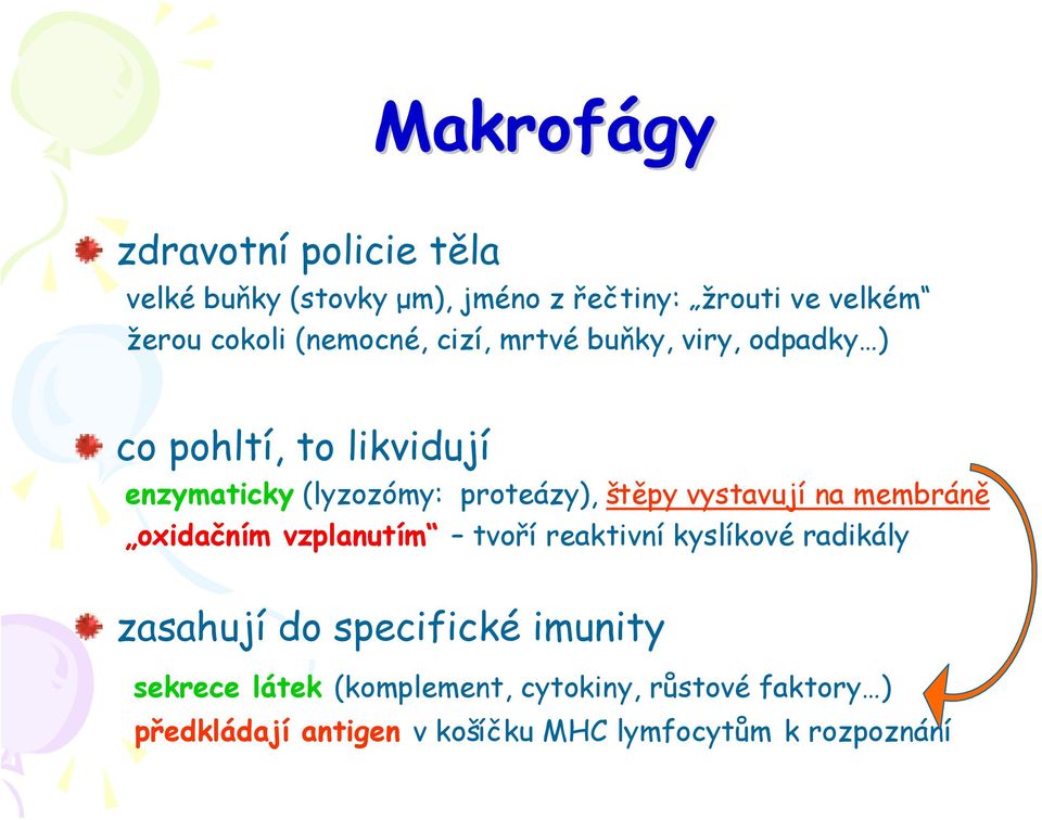 vystavují na membráně oxidačním vzplanutím tvoří reaktivní kyslíkové radikály zasahují do specifické imunity