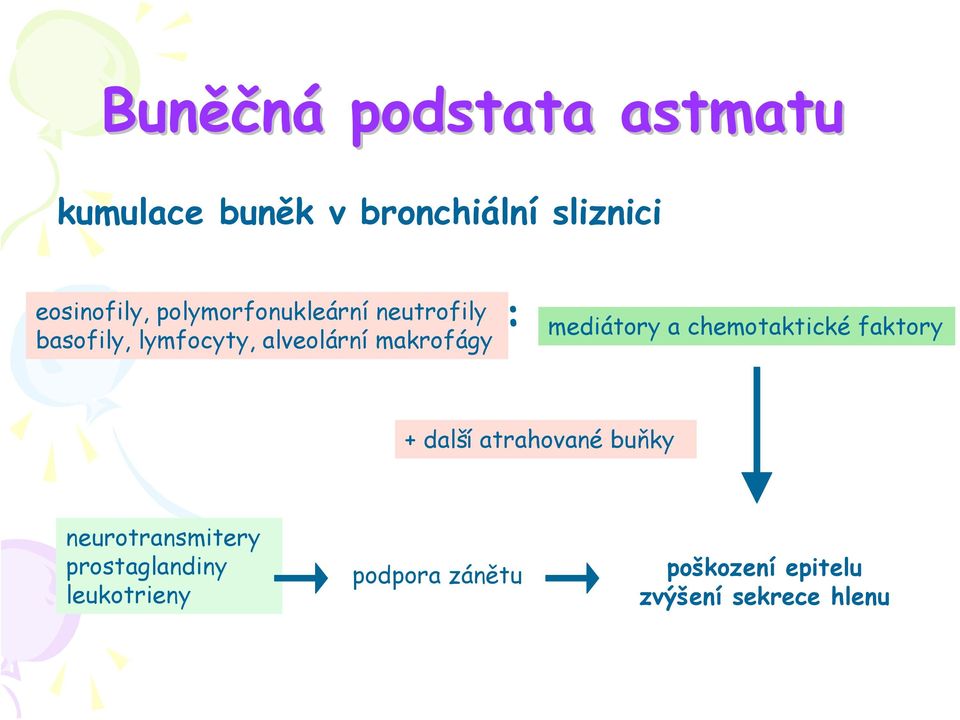 mediátory a chemotaktické faktory + další atrahované buňky neurotransmitery