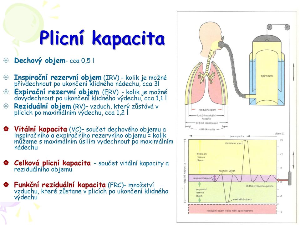 Vitální kapacita (VC) součet dechového objemu a inspiračního a expiračního rezervního objemu = kolik můžeme s maximálním úsilím vydechnout po maximálním nádechu