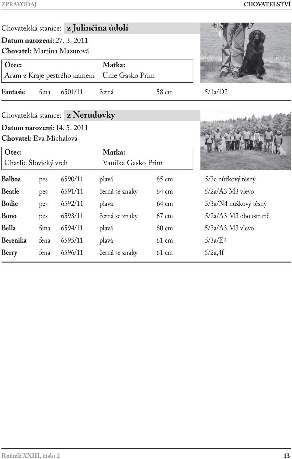 cm 5/1a/D2 Chovatelská stanice: z Nerudovky Datum narození: 14. 5. 2011 Chovatel: Eva Míchalová Charlie Šlovický vrch anilka Gasko Prim Balboa pes 6590/11 plavá 65 cm 5/3c