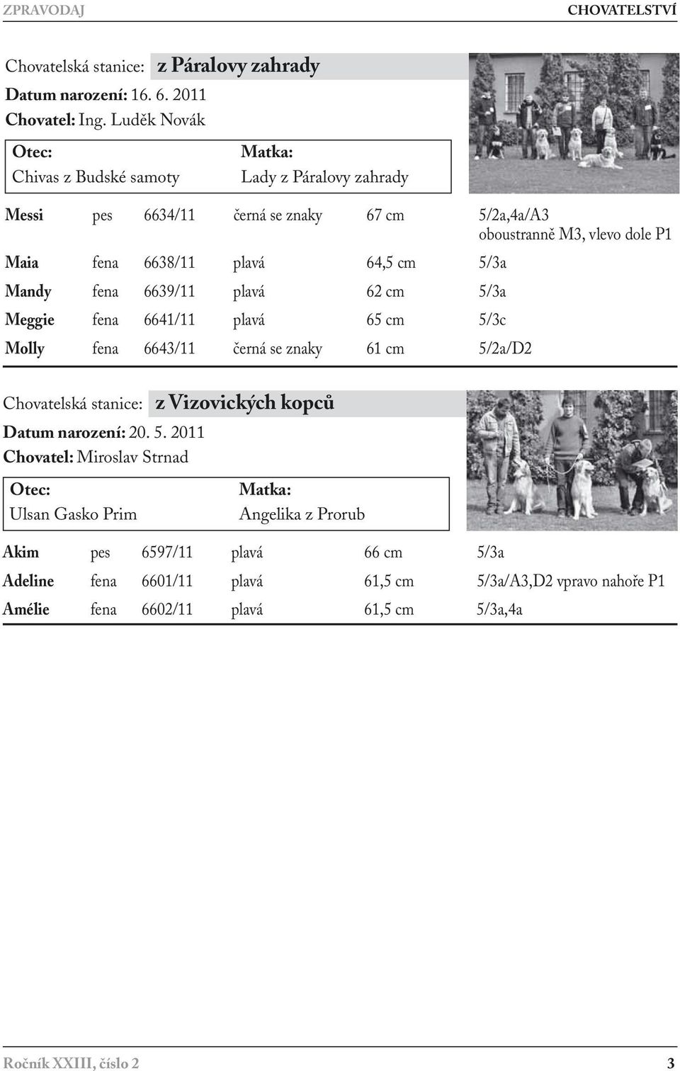5/3a Mandy fena 6639/11 plavá 62 cm 5/3a Meggie fena 6641/11 plavá 65 cm 5/3c Molly fena 6643/11 černá se znaky 61 cm 5/2a/D2 Chovatelská stanice: z izovických kopců Datum