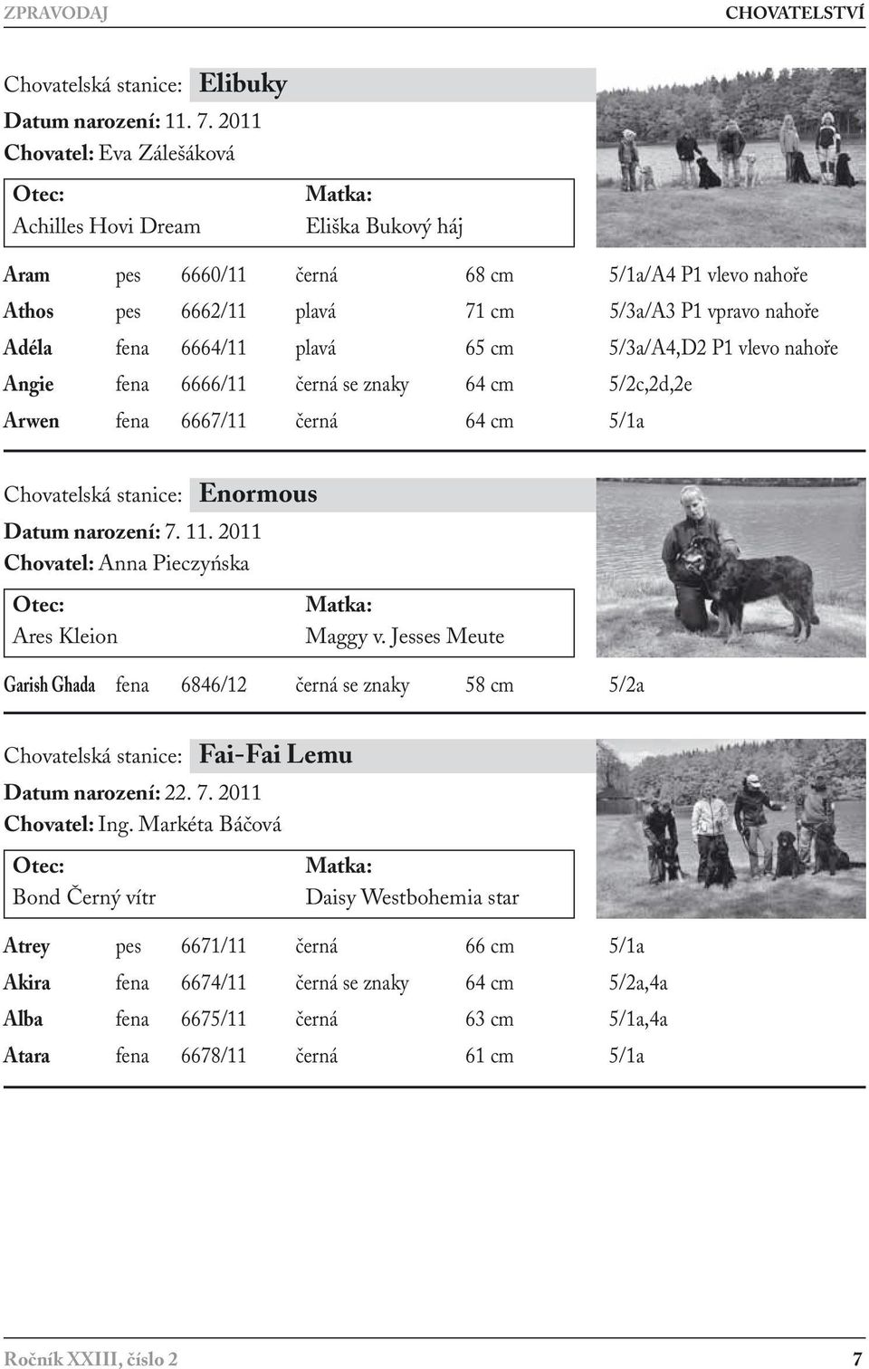 plavá 65 cm 5/3a/A4,D2 P1 vlevo nahoře Angie fena 6666/11 černá se znaky 64 cm 5/2c,2d,2e Arwen fena 6667/11 černá 64 cm 5/1a Chovatelská stanice: Enormous Datum narození: 7. 11.