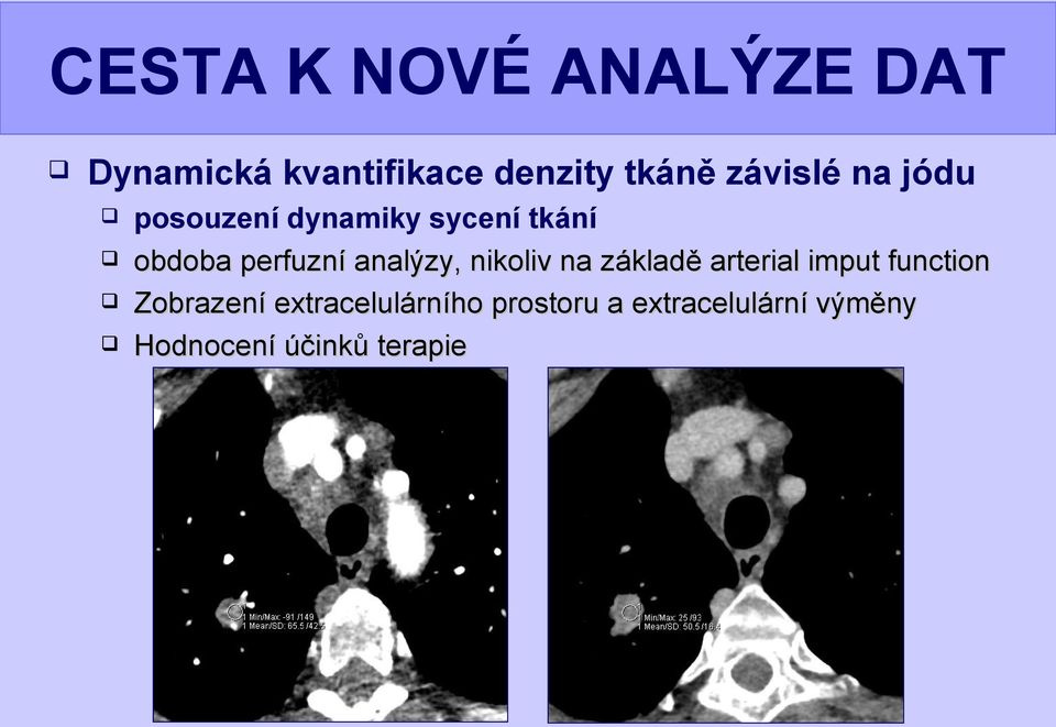 analýzy, nikoliv na základě arterial imput function Zobrazení