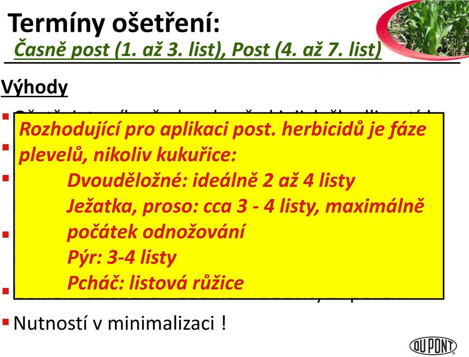 herbicidů je fáze Hubíte plevelů, navíc nikoliv pýr, kukuřice: pcháč Vyšší účinnost Dvouděložné: na plevele, ideálně které 2 až vzchází 4 listy