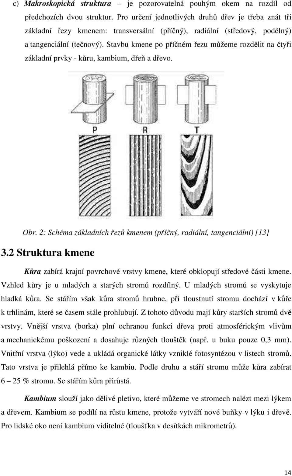 Stavbu kmene po příčném řezu můžeme rozdělit na čtyři základní prvky - kůru, kambium, dřeň a dřevo. Obr. 2: Schéma základních řezů kmenem (příčný, radiální, tangenciální) [13] 3.