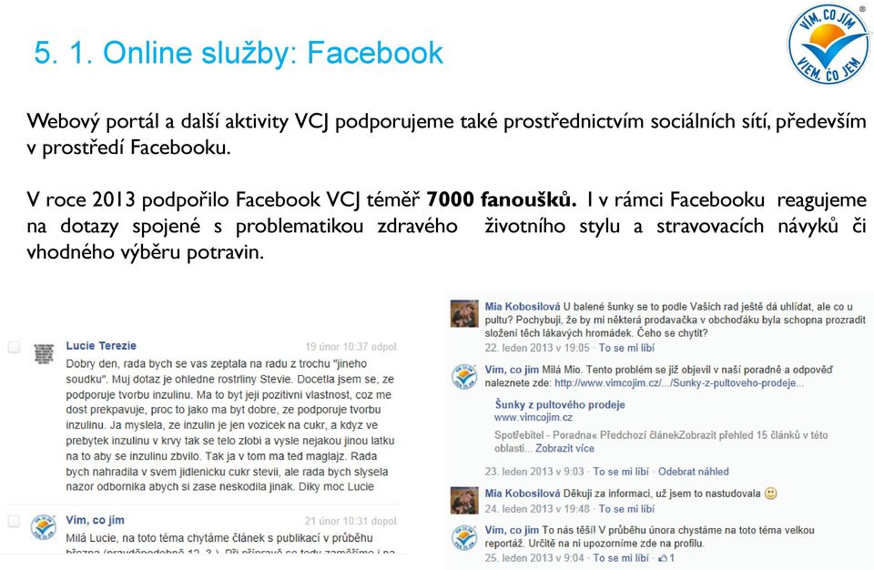 V roce 2013 podpořilo Facebook VCJ téměř 7000 fanoušků.