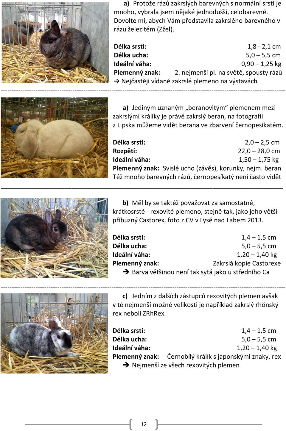 na světě, spousty rázů Nejčastěji vídané zakrslé plemeno na výstavách