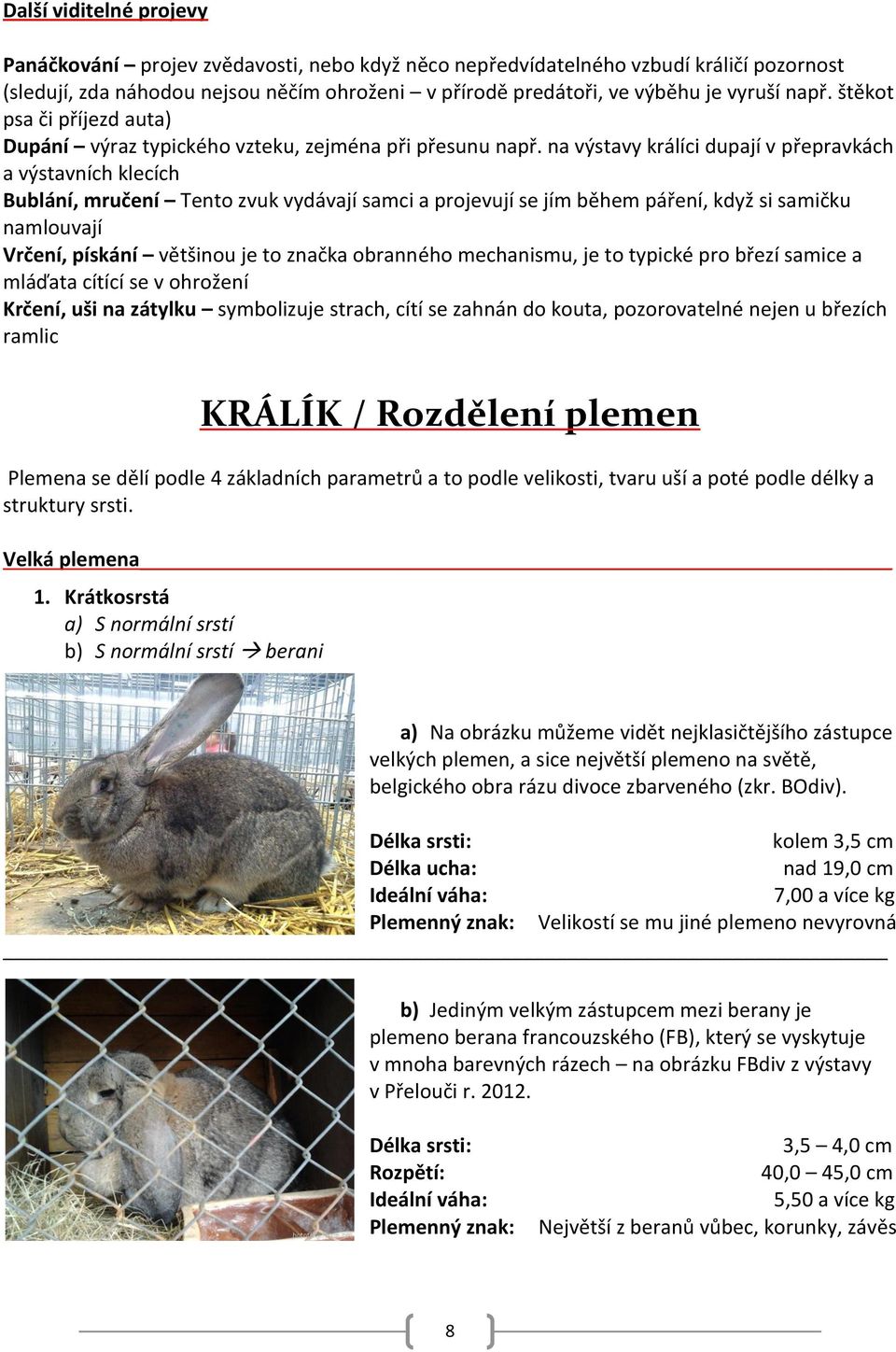 na výstavy králíci dupají v přepravkách a výstavních klecích Bublání, mručení Tento zvuk vydávají samci a projevují se jím během páření, když si samičku namlouvají Vrčení, pískání většinou je to