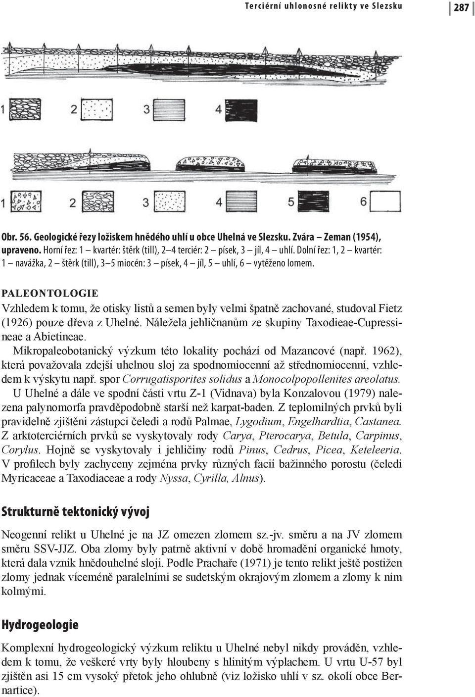 PALEONTOLOGIE Vzhledem k tomu, že otisky listů a semen byly velmi špatně zachované, studoval Fietz (1926) pouze dřeva z Uhelné. Náležela jehličnanům ze skupiny Taxodieae-Cupressineae a Abietineae.