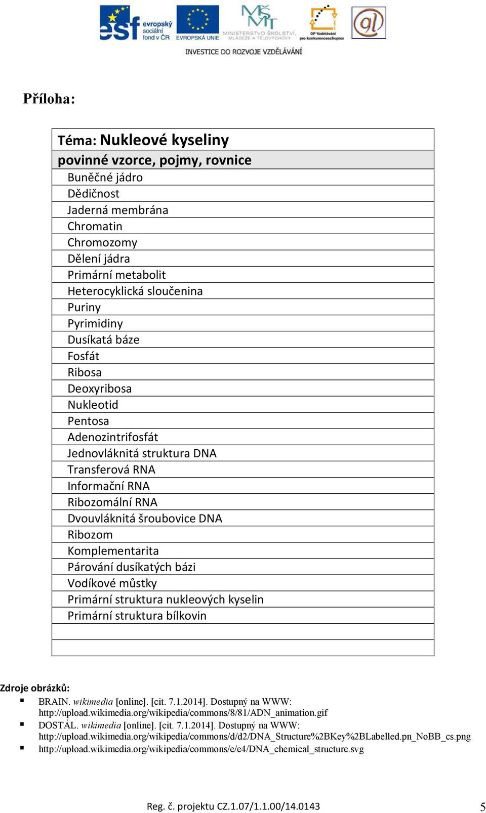 dusíkatých bázi Vodíkové můstky Primární struktura nukleových kyselin Primární struktura bílkovin Zdroje obrázků: BRAIN. wikimedia [online]. [cit. 7.1.2014]. Dostupný na WWW: http://upload.wikimedia.org/wikipedia/commons/8/81/adn_animation.