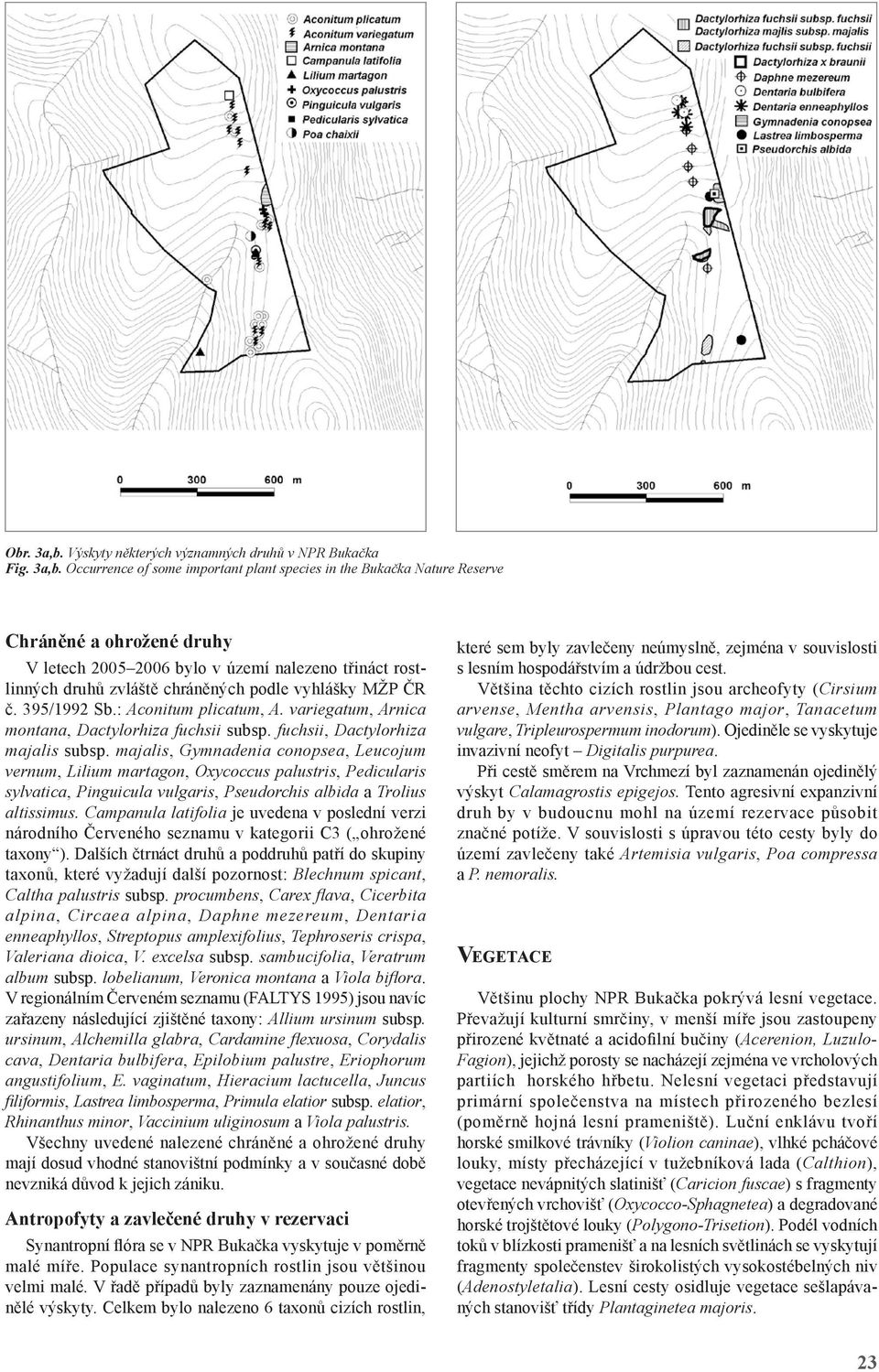 Occurrence of some important plant species in the Bukačka Nature Reserve Chráněné a ohrožené druhy V letech 2005 2006 bylo v území nalezeno třináct rostlinných druhů zvláště chráněných podle vyhlášky