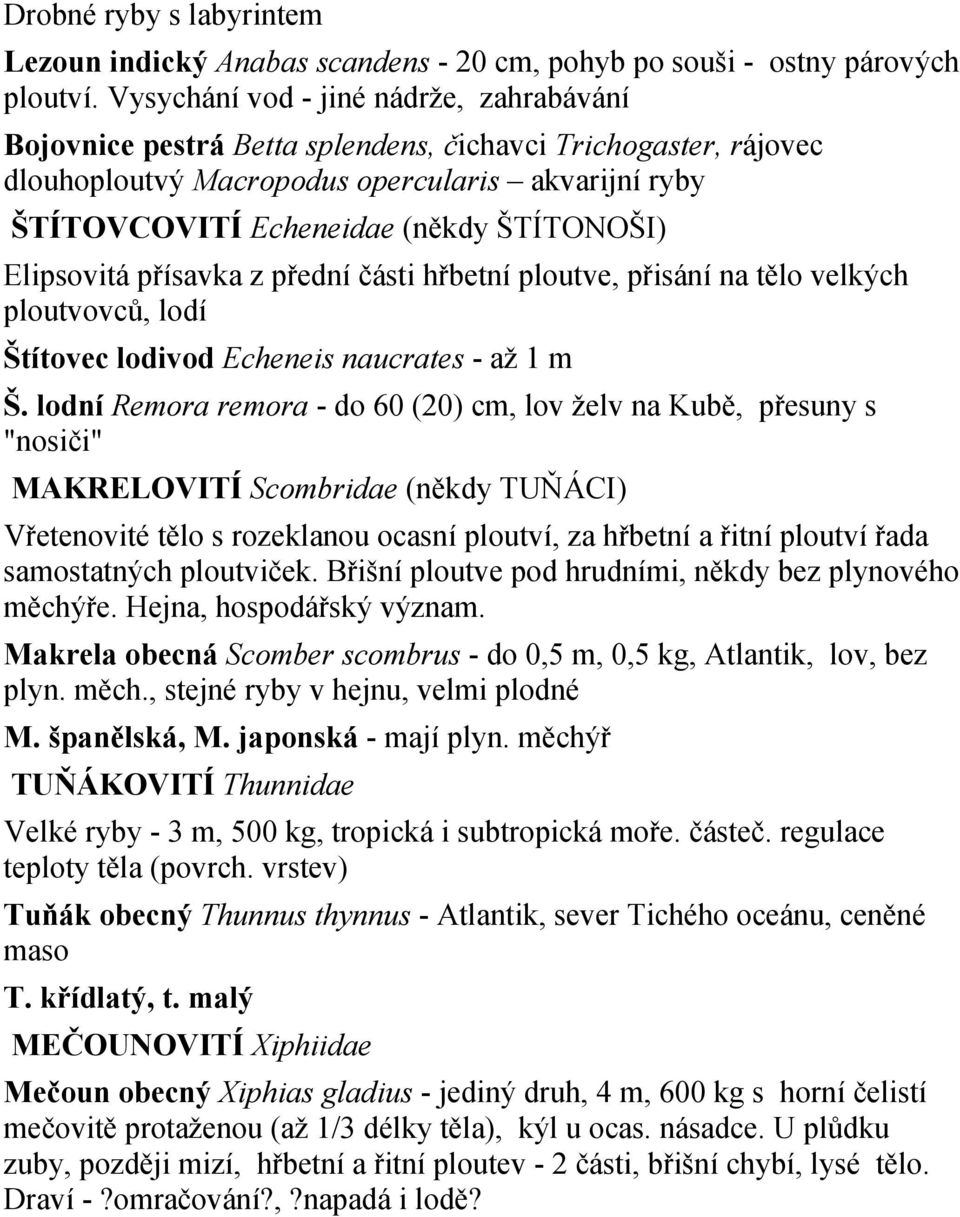 Elipsovitá přísavka z přední části hřbetní ploutve, přisání na tělo velkých ploutvovců, lodí Štítovec lodivod Echeneis naucrates - až 1 m Š.