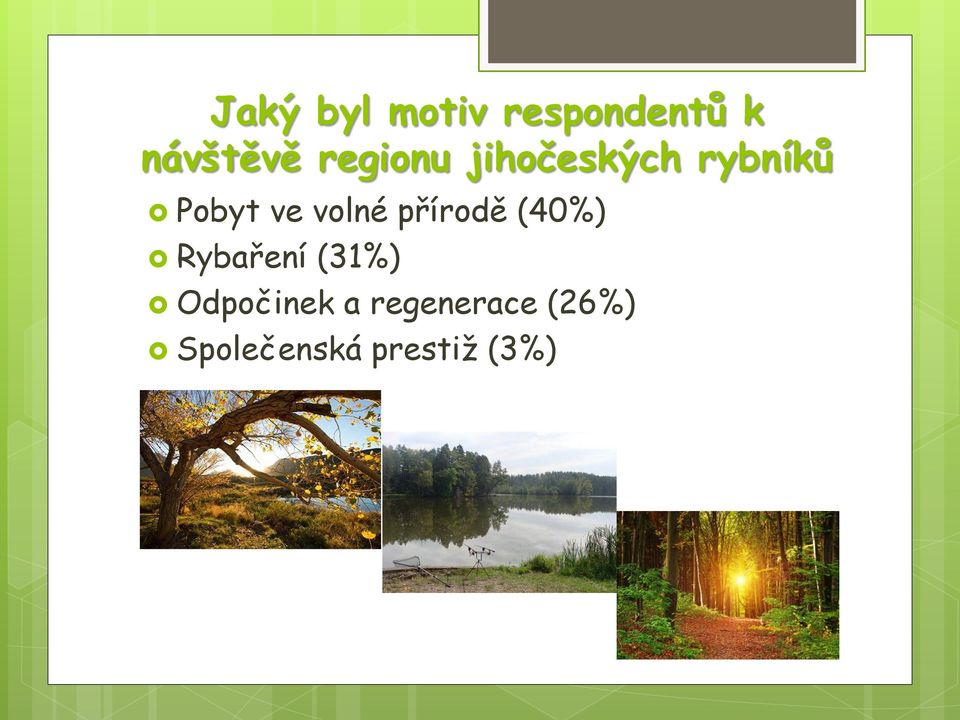 volné přírodě (40%) Rybaření (31%)