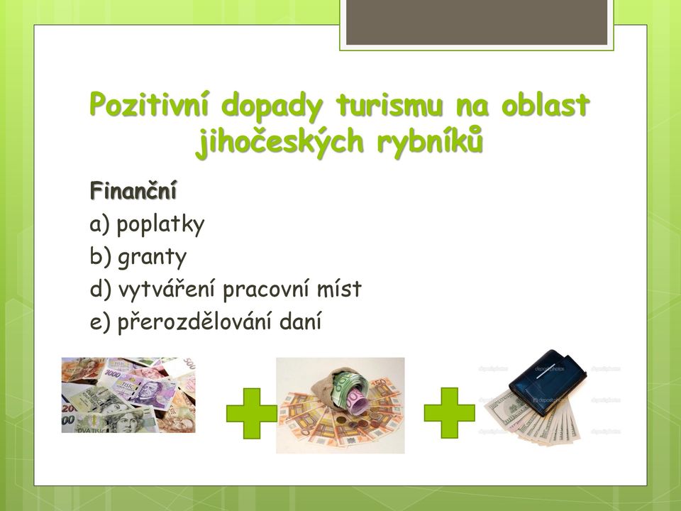 Finanční a) poplatky b) granty d)