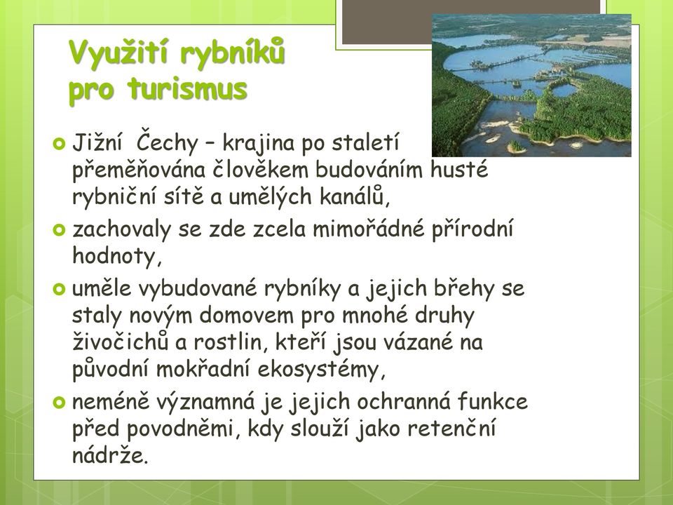 rybníky a jejich břehy se staly novým domovem pro mnohé druhy živočichů a rostlin, kteří jsou vázané na