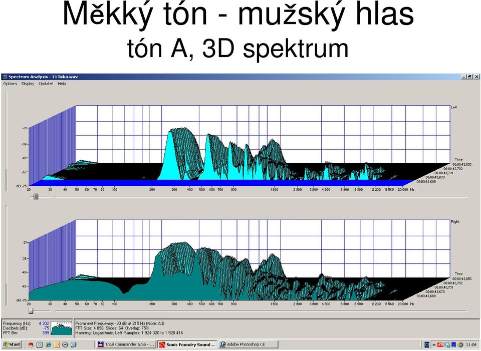 hlas tón