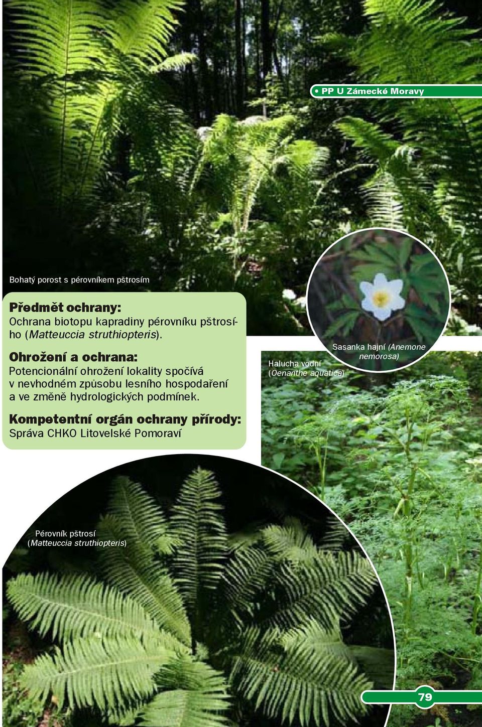 způsobu lesního hospodaření a ve změně hydrologických podmínek Kompetentní orgán ochrany přírody: Správa CHKO