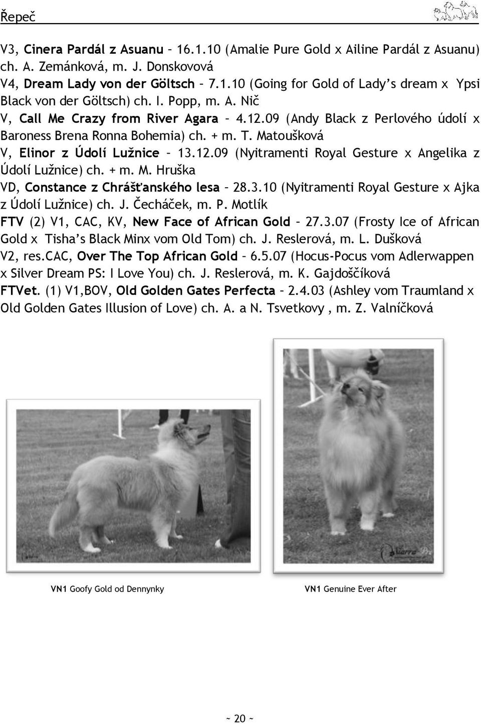 + m. M. Hruška VD, Constance z Chrášťanského lesa 28.3.10 (Nyitramenti Royal Gesture x Ajka z Údolí Lužnice) ch. J. Čecháček, m. P. Motlík FTV (2) V1, CAC, KV, New Face of African Gold 27.3.07 (Frosty Ice of African Gold x Tisha s Black Minx vom Old Tom) ch.