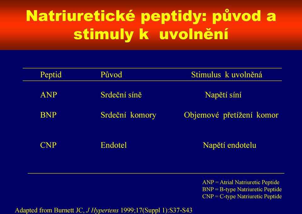 Napětí endotelu Adapted from Burnett JC, J Hypertens 1999;17(Suppl 1):S37-S43 ANP =