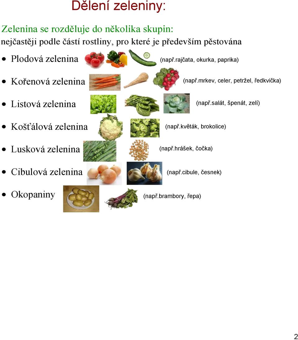 Cibulová zelenina Okopaniny (např.rajčata, okurka, paprika) (např.mrkev, celer, petržel, ředkvička) (např.
