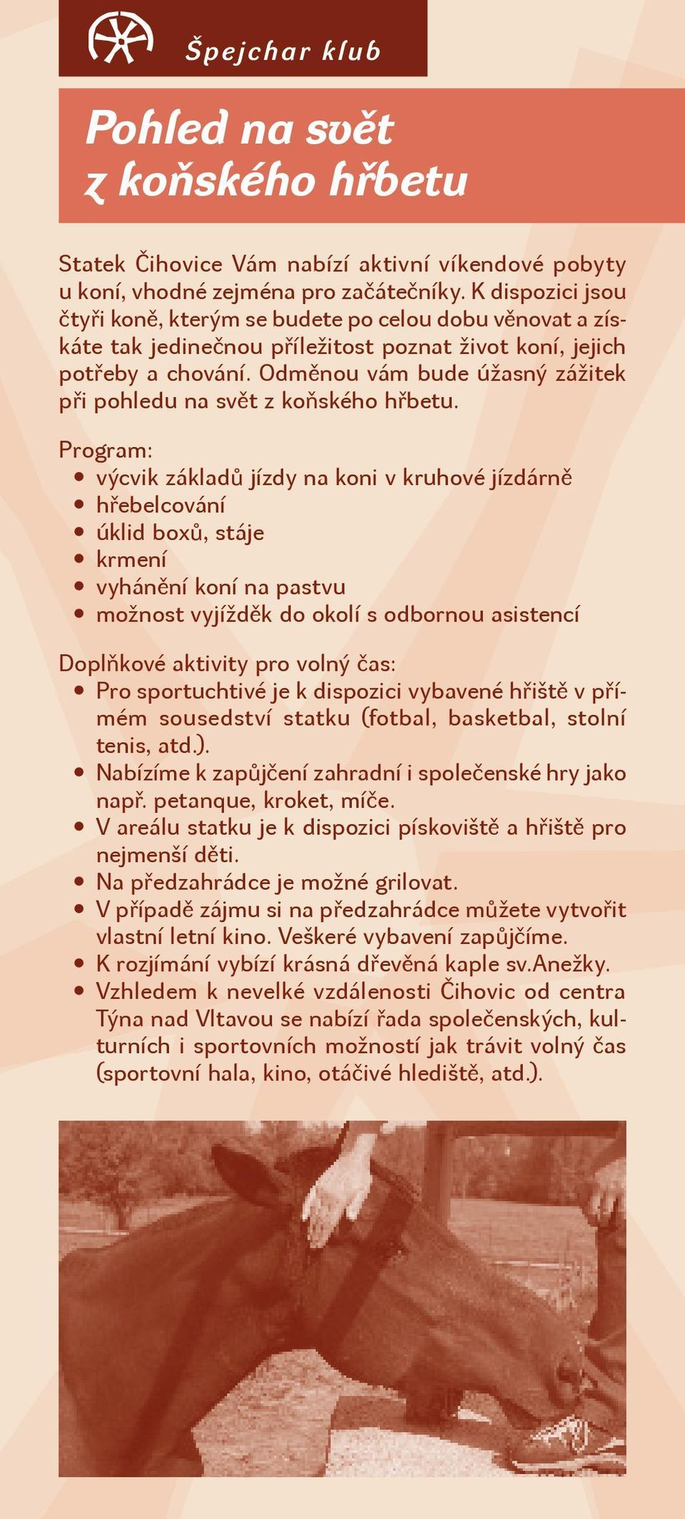 Odměnou vám bude úžasný zážitek při pohledu na svět z koňského hřbetu.